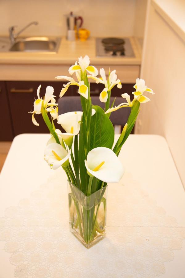 Tonica Apartments Novalja Εξωτερικό φωτογραφία